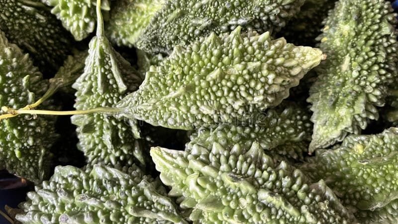 Karela